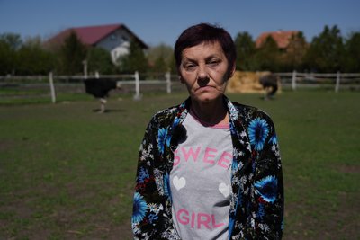 "З горла стирчала трахея": в якому стані врятовані страуси після атаки РФ КАБами по Новопавлівці "З горла стирчала трахея": в якому стані врятовані страуси після атаки РФ КАБами по Новопавлівці