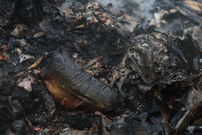 Вісім безпілотників атакували Суми: пошкоджені два підприємства