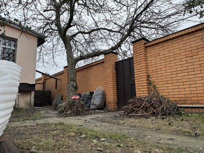 "В цьому році горіхів мало": за скільки купують і продають волоські у Сумах "В цьому році горіхів мало": за скільки купують і продають волоські у Сумах