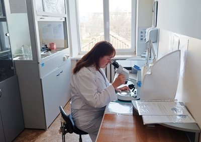 Свербіж і висипи понад пів року: у Миколаєві жінка знайшла постільних клопів Свербіж і висипи понад пів року: у Миколаєві жінка знайшла постільних клопів