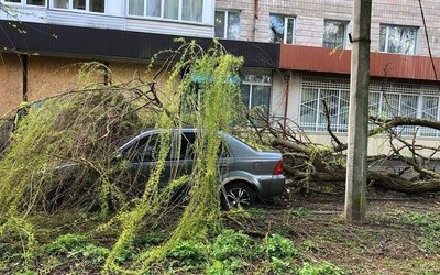 Наслідки негоди долали рятувальники у Рівному та області Наслідки негоди долали рятувальники у Рівному та області
