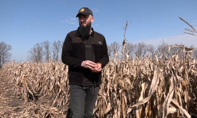 Жнива навесні: як черкаський аграрій збирає врожай кукурудзи