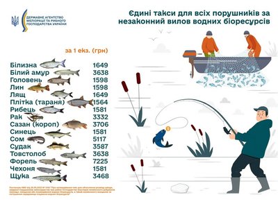 У Києві У Києві