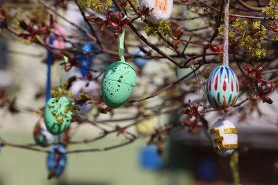 Великодні яйця, Івано-Франківськ Великодні яйця, Івано-Франківськ