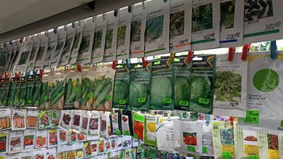 Подорожчання насіння овочів: що купують у Житомирі