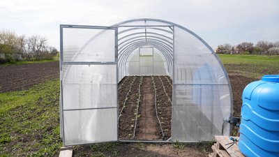 Школяр із Миколаївщини облаштував теплиці та вирощує овочі Школяр із Миколаївщини облаштував теплиці та вирощує овочі