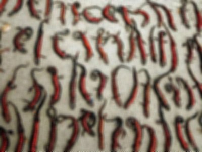 Червонокнижні тритони, знайдені на Одещині Червонокнижні тритони, знайдені на Одещині