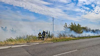 На Черкащині 1 вересня 25 разів горів сухостій На Черкащині 1 вересня 25 разів горів сухостій