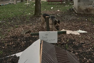 "Слова очевидців та табличка на саморобному хресті": як отримати свідоцтво про смерть загиблого у зоні бойових дій "Слова очевидців та табличка на саморобному хресті": як отримати свідоцтво про смерть загиблого у зоні бойових дій