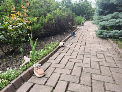 "Голоси дітей": у Житомирі вшанували пам’ять загиблих через війну дітей "Голоси дітей": у Житомирі вшанували пам’ять загиблих через війну дітей