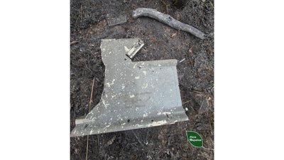 Лісові пожежі на Чернігівщині:через атаку БпЛА була зафіксована найбільша пожежа в Україні Лісові пожежі на Чернігівщині:через атаку БпЛА була зафіксована найбільша пожежа в Україні