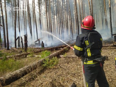 парк "Святі гори" лісові пожежі Національний природний обстріли армія РФ наслідки Святогірськ Донецька область парк "Святі гори" лісові пожежі Національний природний обстріли армія РФ наслідки Святогірськ Донецька область