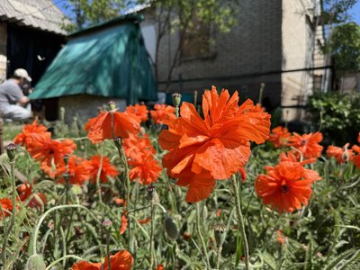“Сподіваємось на краще, погане прийде саме”. Як самотня жінка живе у прифронтовій Сергіївці “Сподіваємось на краще, погане прийде саме”. Як самотня жінка живе у прифронтовій Сергіївці