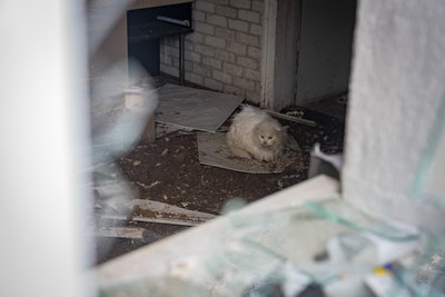 "Постійно б'ють, та люди нікуди не хочуть їхати". Як живуть прифронтові Романки на Дніпропетровщині "Постійно б'ють, та люди нікуди не хочуть їхати". Як живуть прифронтові Романки на Дніпропетровщині