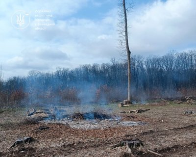 На Вінниччині оштрафували чоловіка за спалювання порубкових решток біля лісу На Вінниччині оштрафували чоловіка за спалювання порубкових решток біля лісу