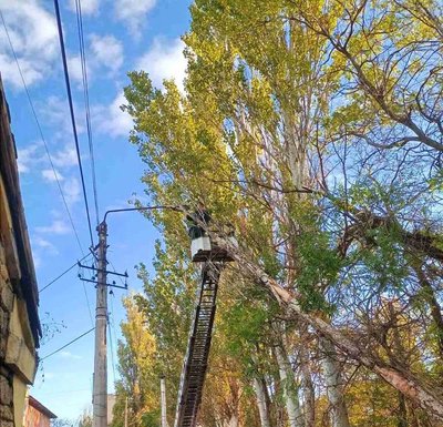 В Одесі через шторм впали 18 дерев та великих гілок В Одесі через шторм впали 18 дерев та великих гілок