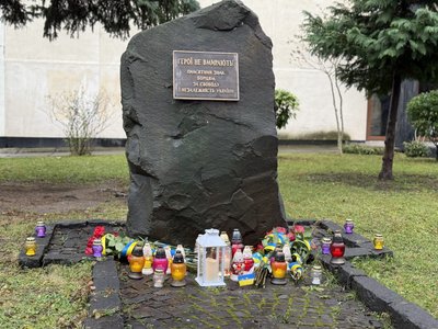 День Гідності та Свободи відзначили в Ужгороді