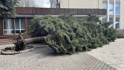 Погода, негода, вітер, буревій, буря, дерево, вулиця Марійки Підгірянки, наслідки, Івано-Франківськ Погода, негода, вітер, буревій, буря, дерево, вулиця Марійки Підгірянки, наслідки, Івано-Франківськ