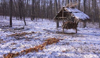 У нацпарку "Холодний яр" на Черкащині обліковують та підгодовують диких тварин У нацпарку "Холодний яр" на Черкащині обліковують та підгодовують диких тварин