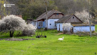 Кози, бджоли й старі книжки: як живе пенсіонер у спорожнілому селі на Одещині I "Забуті" Кози, бджоли й старі книжки: як живе пенсіонер у спорожнілому селі на Одещині I "Забуті"