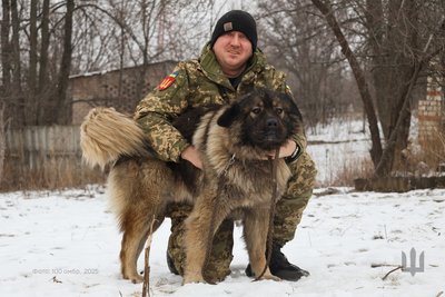 Про пса мріяв все життя: боєць волинської бригади несе службу разом із 60-кілограмовою вівчаркою Про пса мріяв все життя: боєць волинської бригади несе службу разом із 60-кілограмовою вівчаркою