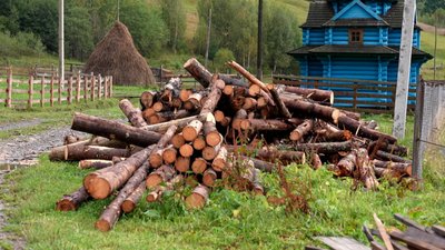 Дрова, деревина, зимівля, Карпати, негазифіковане село, гори, Верховинський район, Зелене Дрова, деревина, зимівля, Карпати, негазифіковане село, гори, Верховинський район, Зелене