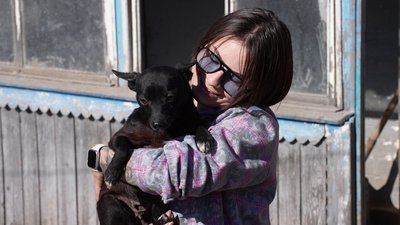 У притулку в Знам'янці на Кіровоградщині прихистили 37 собак із зони бойових дій У притулку в Знам'янці на Кіровоградщині прихистили 37 собак із зони бойових дій