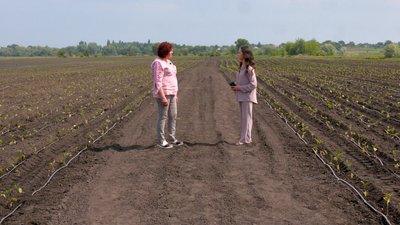 "Якщо не поливати, краще не садити": фермерка з Черкащини про овочеві та заробіток з них "Якщо не поливати, краще не садити": фермерка з Черкащини про овочеві та заробіток з них