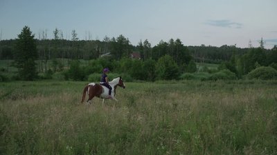 Рябі коні Мощаниці