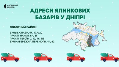 Ялинкові базари: де придбати святкове дерево у Дніпрі Ялинкові базари: де придбати святкове дерево у Дніпрі