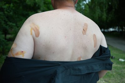 Вовка у центрі села сприйняв, як попередження — староста Стецьківки розповів, як збив FPV-дрон з рушниці Вовка у центрі села сприйняв, як попередження — староста Стецьківки розповів, як збив FPV-дрон з рушниці