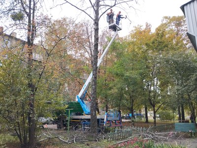 У Полтаві, аби уникнути нещасних випадків, пришвидшили спилювання аварійних дерев У Полтаві, аби уникнути нещасних випадків, пришвидшили спилювання аварійних дерев
