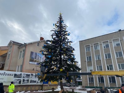 Ялинка в Городенці, Івано-Франківщина