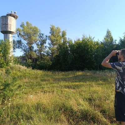 У нацпарку "Слобожанський" на Харківщині порахували лелек У нацпарку "Слобожанський" на Харківщині порахували лелек