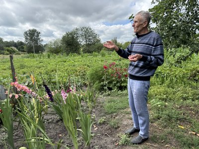 На кожній вулиці гнізда: село на Полтавщині називають "лелечою столицею"
