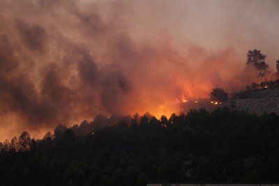 У Південній Європі спалахують лісові пожежі через спеку У Південній Європі спалахують лісові пожежі через спеку