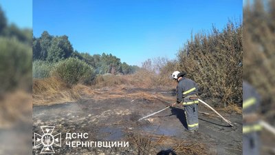 Для ліквідації пожежі торфовищ на Чернігівщині залучили 76 вогнеборців та запустили насосну станцію Для ліквідації пожежі торфовищ на Чернігівщині залучили 76 вогнеборців та запустили насосну станцію