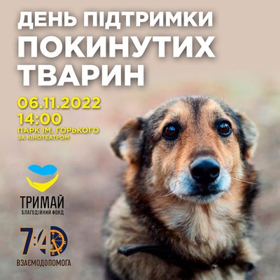 Безпритульні тварини в Одесі