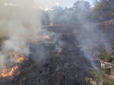 На Черкащині за добу ліквідували пʼять пожеж сухої рослинності На Черкащині за добу ліквідували пʼять пожеж сухої рослинності