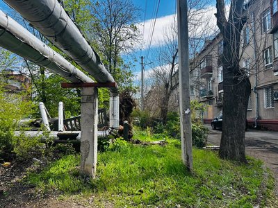 Негода в Запоріжжі: сильний вітер вирує містом Негода в Запоріжжі: сильний вітер вирує містом