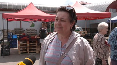 Продають полуниці на тернопільському ринку, ціни на полуницю, ринок, ціни, Тернопіль Продають полуниці на тернопільському ринку, ціни на полуницю, ринок, ціни, Тернопіль