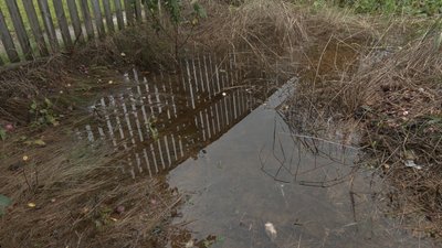 Місяць не працює каналізація в селі Зарічани Станишівської громади: які причини і вихід із ситуації Місяць не працює каналізація в селі Зарічани Станишівської громади: які причини і вихід із ситуації