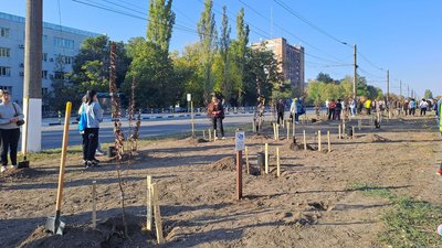 У Кропивницькому до ювілею міста й у пам'ять про загиблих військових висадили 270 дерев У Кропивницькому до ювілею міста й у пам'ять про загиблих військових висадили 270 дерев