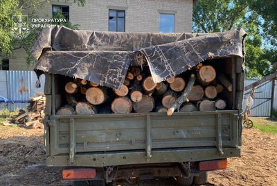 Збитки на майже 700 тисяч гривень. Двох жителів Дніпропетровщини підозрюють у "чорному лісорубстві" Збитки на майже 700 тисяч гривень. Двох жителів Дніпропетровщини підозрюють у "чорному лісорубстві"