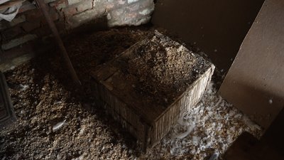 Тварини на Чернігівщині: лелека Бузька 15 років живе у подружжя з Батурина Тварини на Чернігівщині: лелека Бузька 15 років живе у подружжя з Батурина
