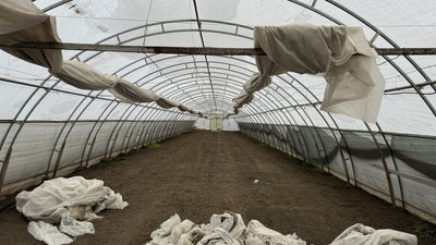 Гранти на сади та теплиці: як отримати аграріям Кіровоградщини Гранти на сади та теплиці: як отримати аграріям Кіровоградщини