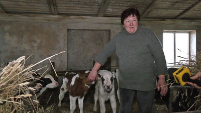 Розвиток тваринництва на Волині. Як працює фермерське господарство в Луцькому районі Розвиток тваринництва на Волині. Як працює фермерське господарство в Луцькому районі