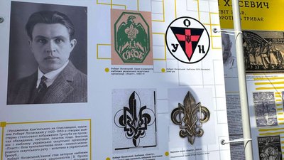 "Символ твоєї свободи": у Кропивницькому відкрили виставку до Дня української державності "Символ твоєї свободи": у Кропивницькому відкрили виставку до Дня української державності
