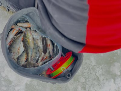 Декілька тижнів готувалися на кризі: перемогу в Кубку України вибороли рибалки з Рівненщини Декілька тижнів готувалися на кризі: перемогу в Кубку України вибороли рибалки з Рівненщини