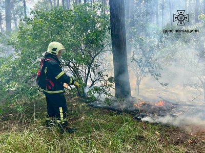 Людей просять позачиняти вікна: у селі на Черкащині горить очерет Людей просять позачиняти вікна: у селі на Черкащині горить очерет